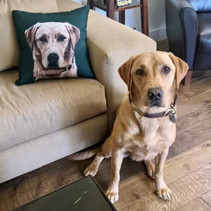 Customized Pet Print Pillow